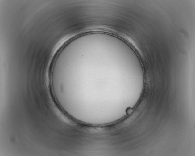 X0000113591082200909181043