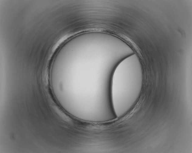 X0000113591083200909181043