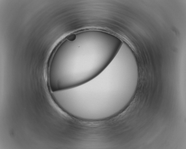 X0000113591084200909181043