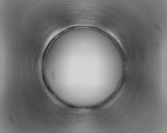 X0000113591085200909181043