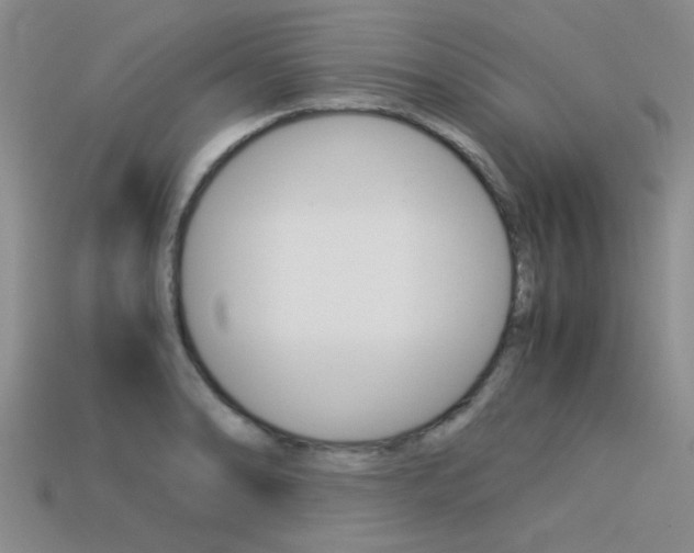 X0000113591086200909181043