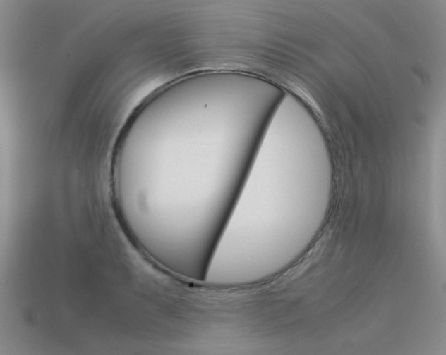 X0000113591087200909181043