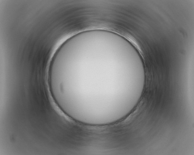 X0000113591088200909181043