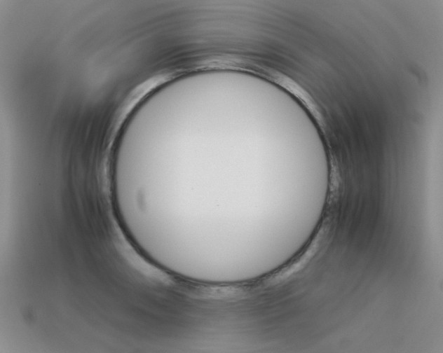 X0000113591090200909181043