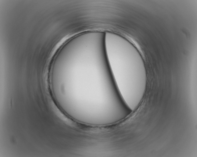 X0000113591091200909181043