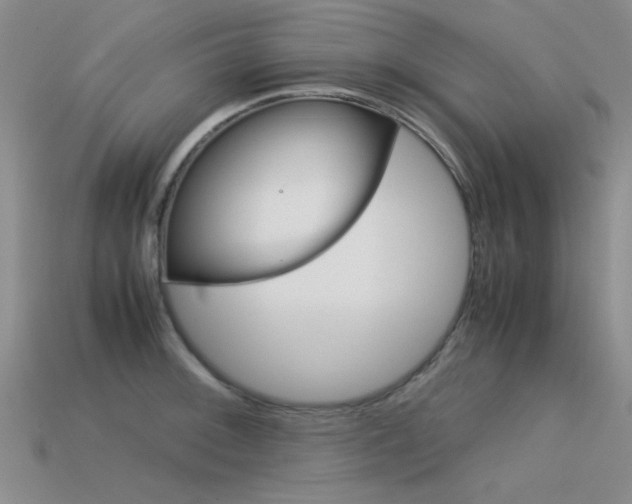 X0000113591092200909181043