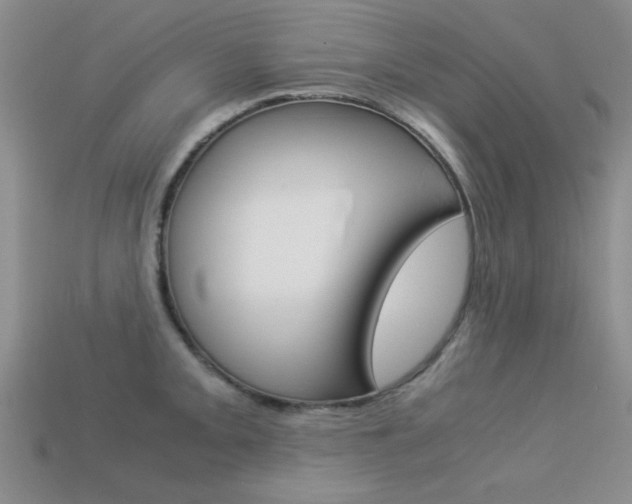X0000113591093200909181043