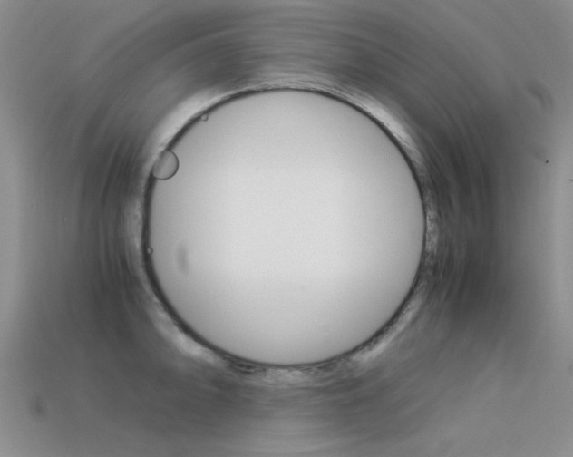 X0000113591094200909181043