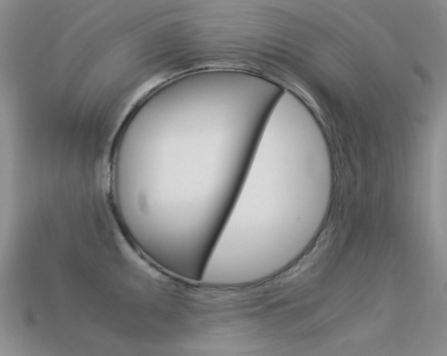 X0000113591095200909181043