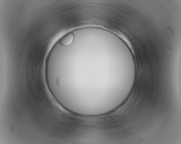 X0000113591096200909181043