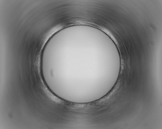 X0000113591098200909181043
