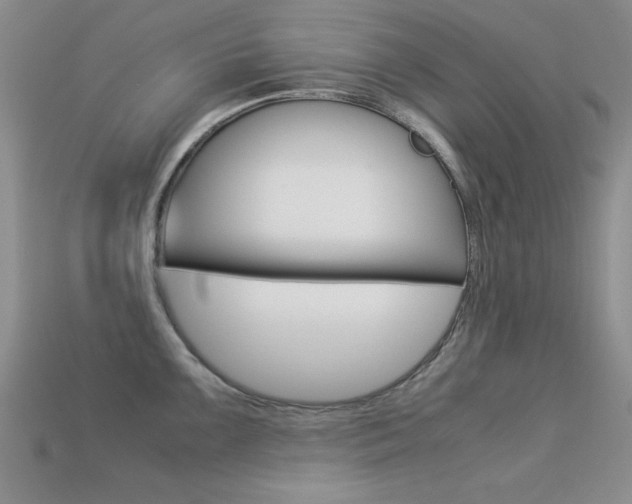 X0000113591099200909181043