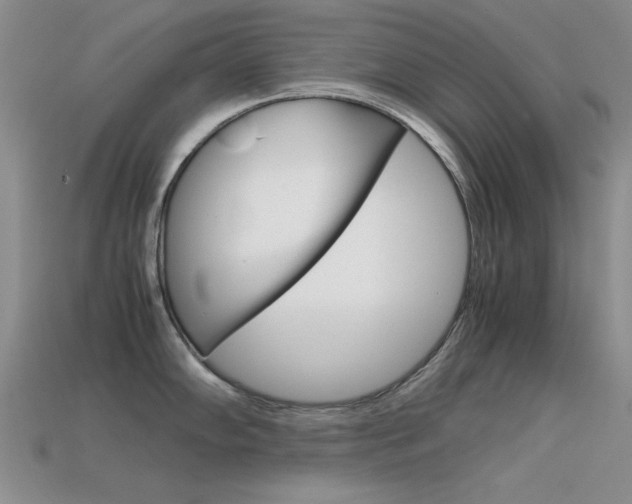 X0000113591102200909181043