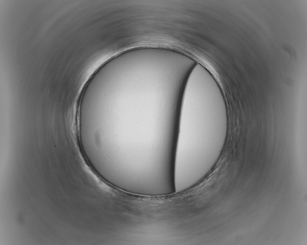 X0000113591103200909181043
