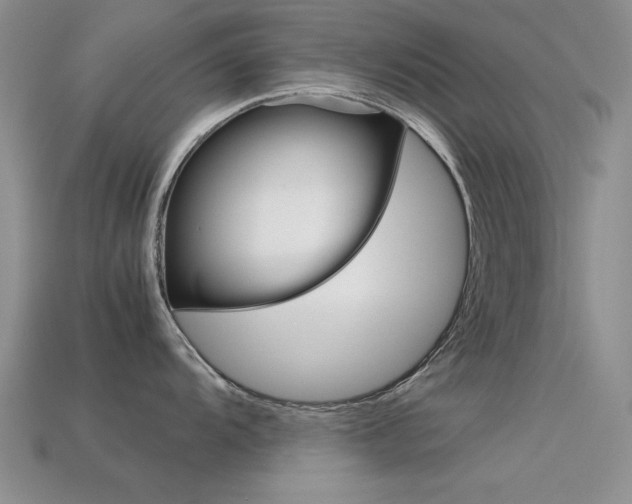X0000113591104200909181043