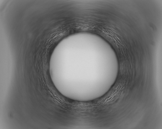 X0000113591105200909181042