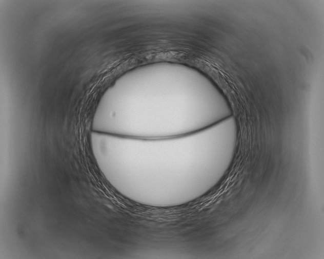 X0000113591109200909181042