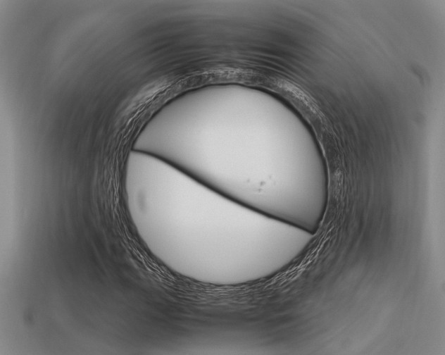 X0000113591111200909181042