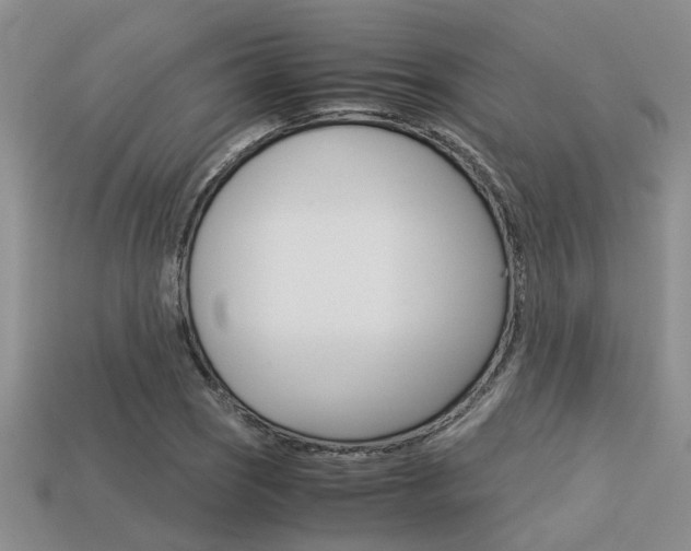X0000113591121200909181042