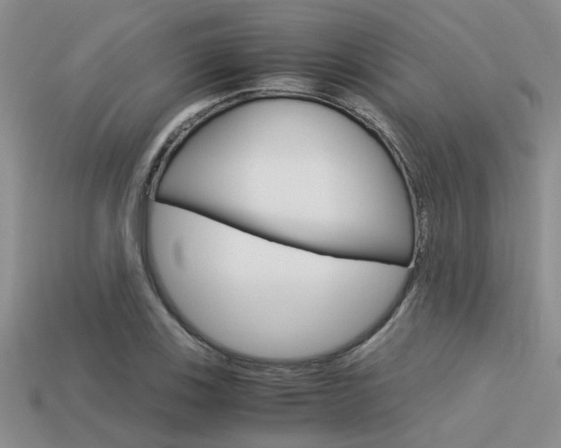 X0000113591123200909181042