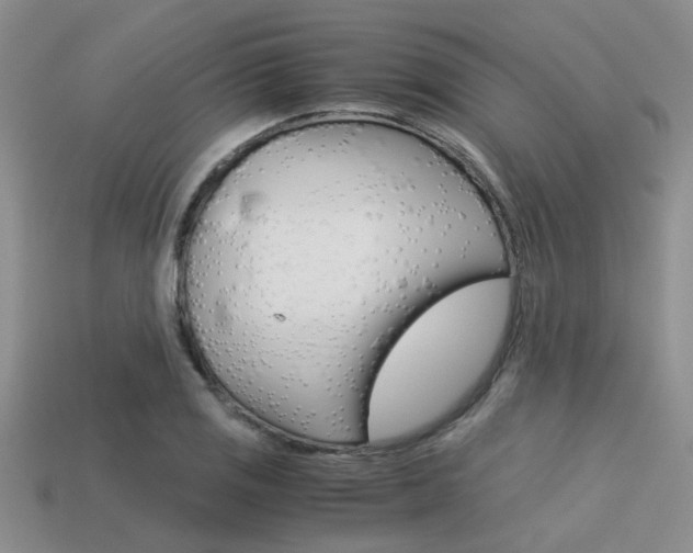 X0000113591125200909181042