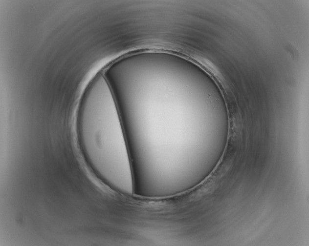 X0000113591128200909181042
