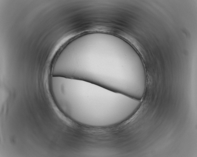X0000113591131200909181042