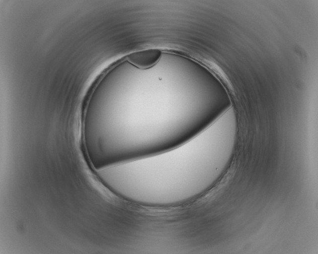 X0000113591132200909181042
