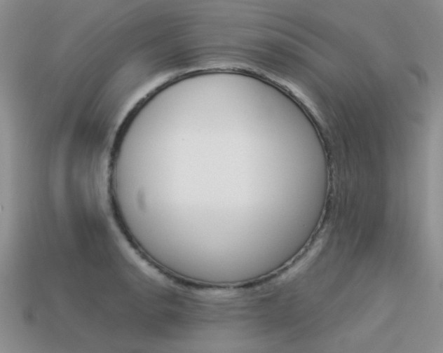 X0000113591134200909181042