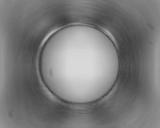 X0000113591138200909181043