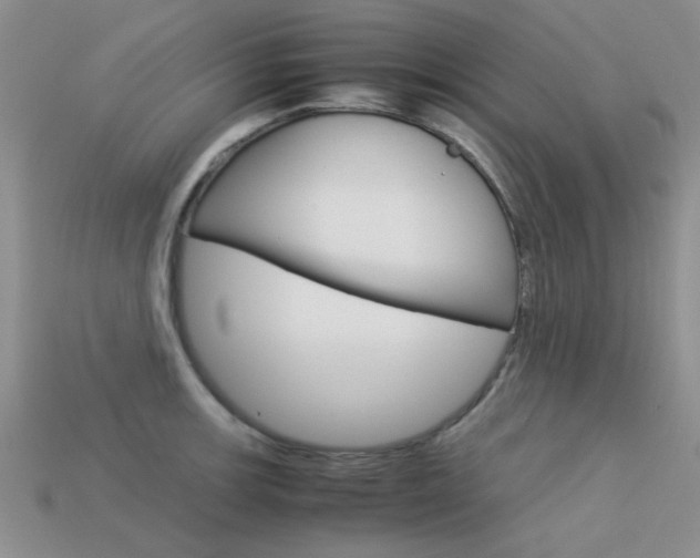 X0000113591139200909181043
