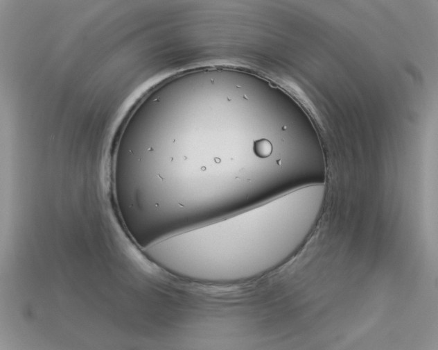 X0000113591140200909181043