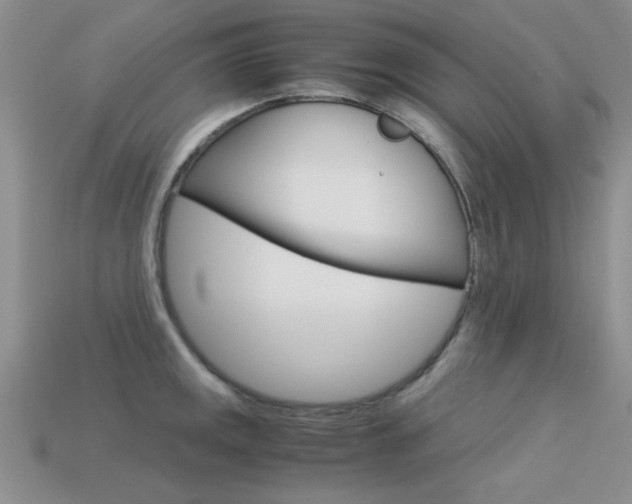 X0000113591141200909181043