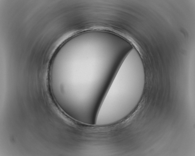 X0000113591142200909181043
