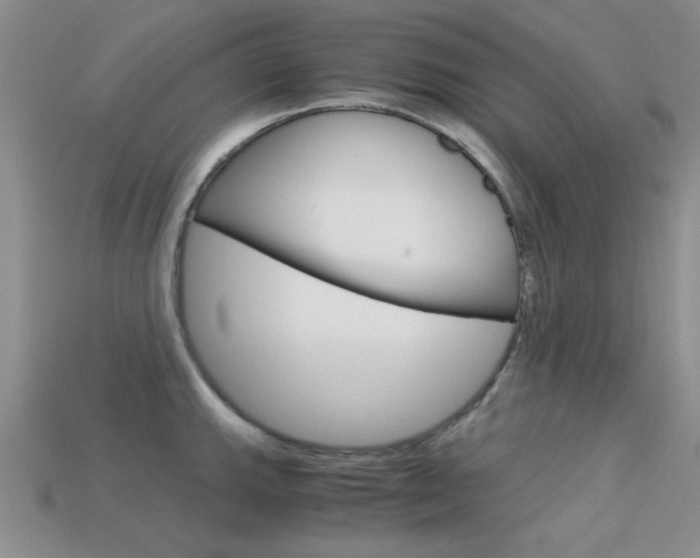 X0000113591143200909181043