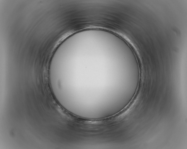 X0000113591145200909181043
