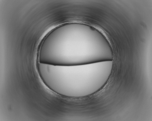 X0000113591147200909181043