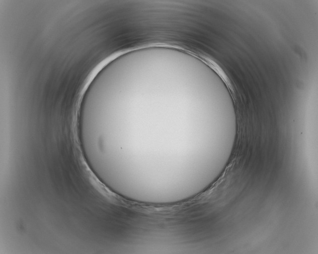 X0000113591148200909181043
