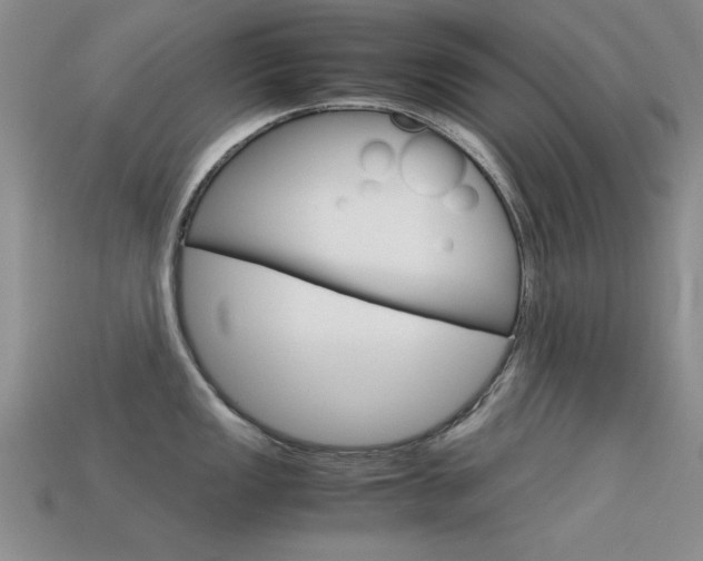 X0000113591149200909181043