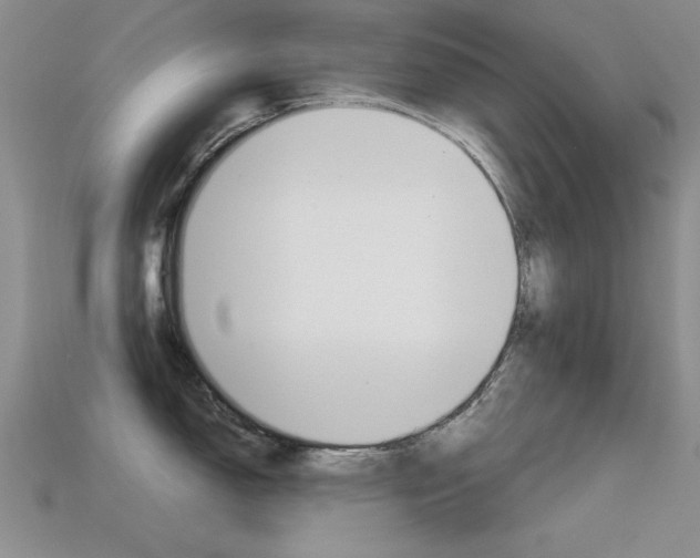 X0000113591150200909181043