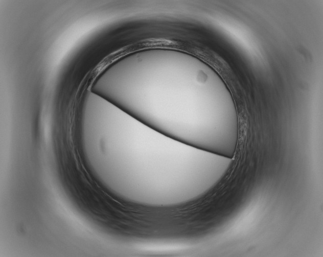 X0000113591151200909181043