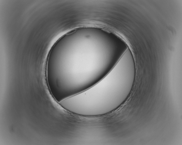 X0000113591152200909181043