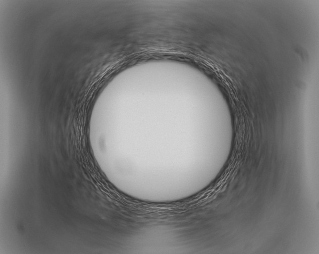 X0000113591157200909181042