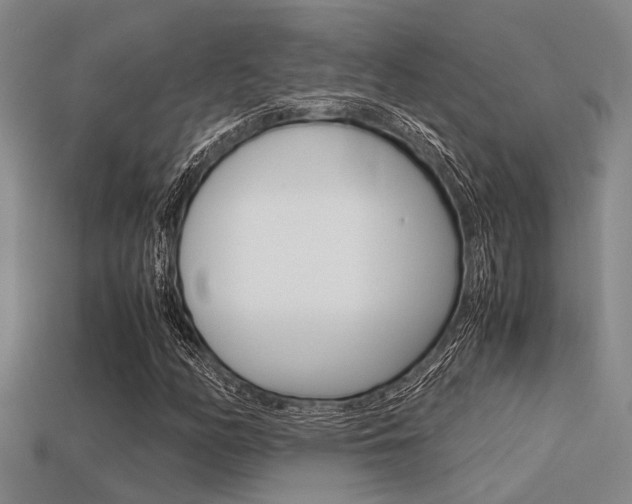 X0000113591158200909181042