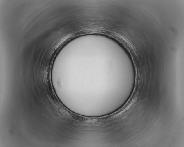X0000113591162200909181042