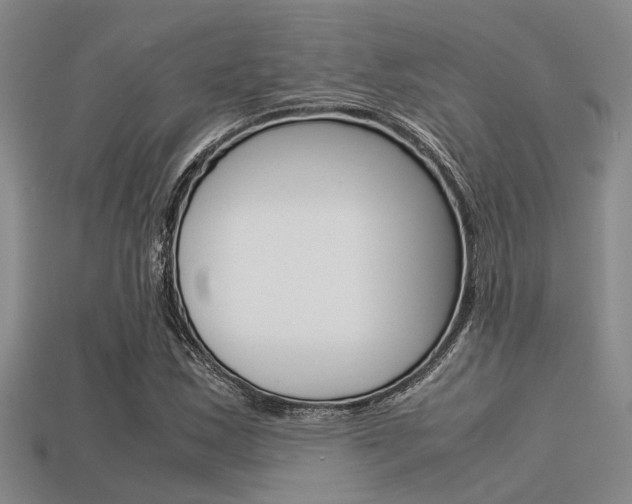 X0000113591163200909181042