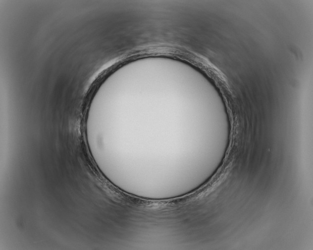 X0000113591166200909181042