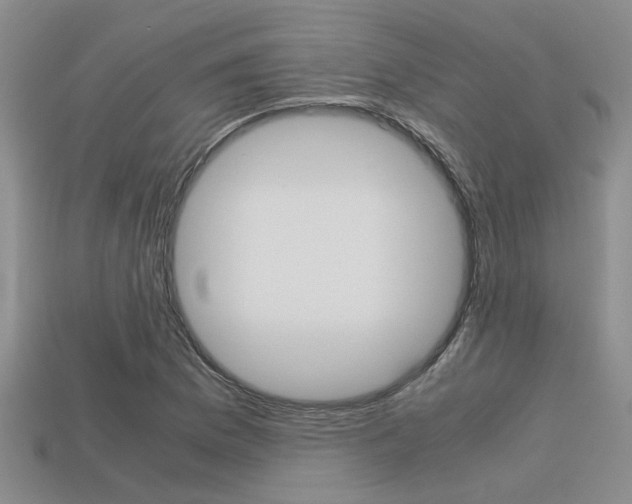 X0000113591169200909181042
