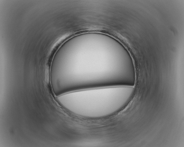 X0000113591171200909181042