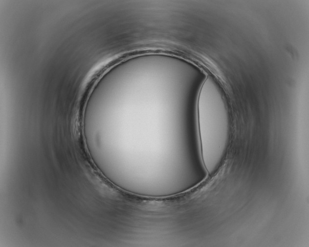 X0000113591172200909181042
